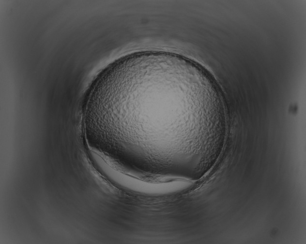 X0000091181507200708301205