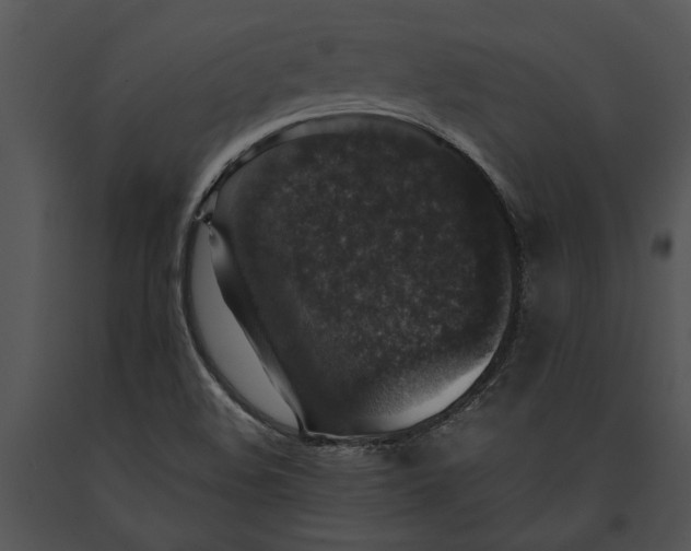 X0000091181508200708301205