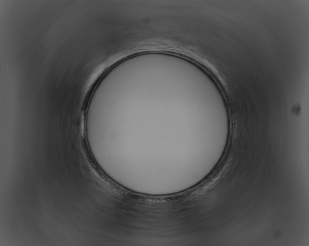 X0000091181509200708301205