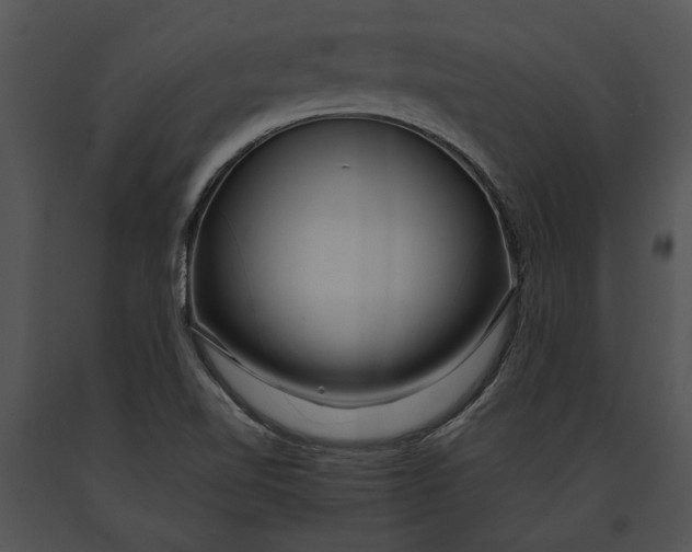 X0000091181510200708301205