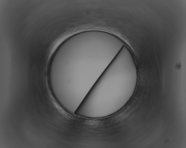 X0000091181511200708301205