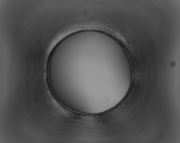 X0000091181512200708301205