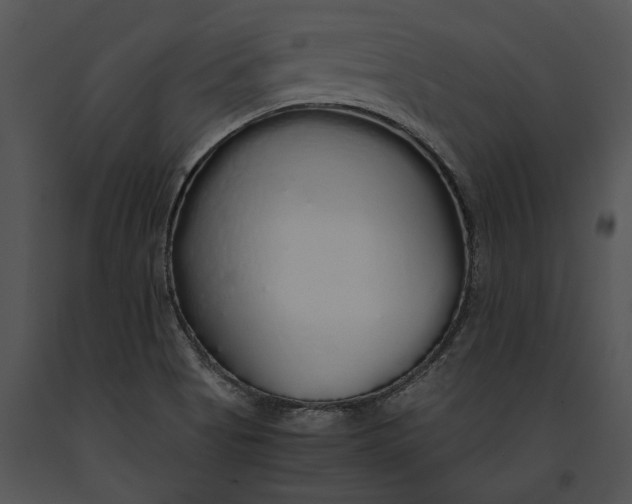 X0000091181513200708301205