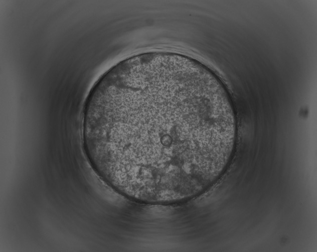 X0000091181514200708301205