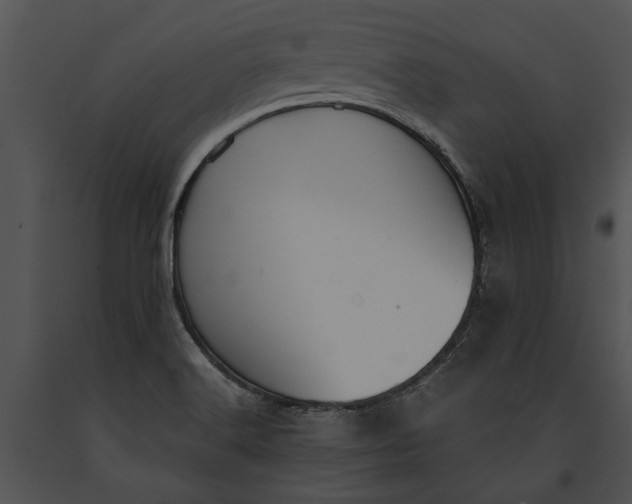 X0000091181516200708301205