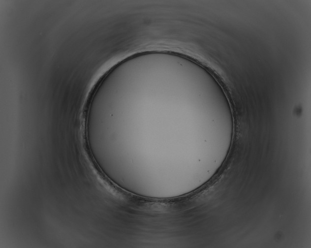 X0000091181517200708301205