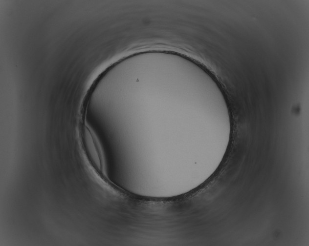 X0000091181518200708301206