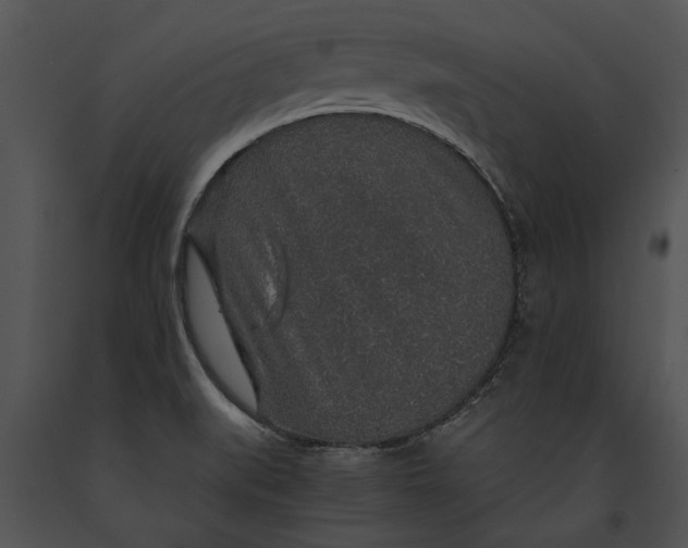 X0000091181519200708301206