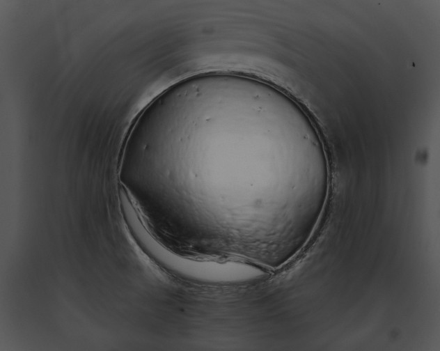 X0000091181521200708301206