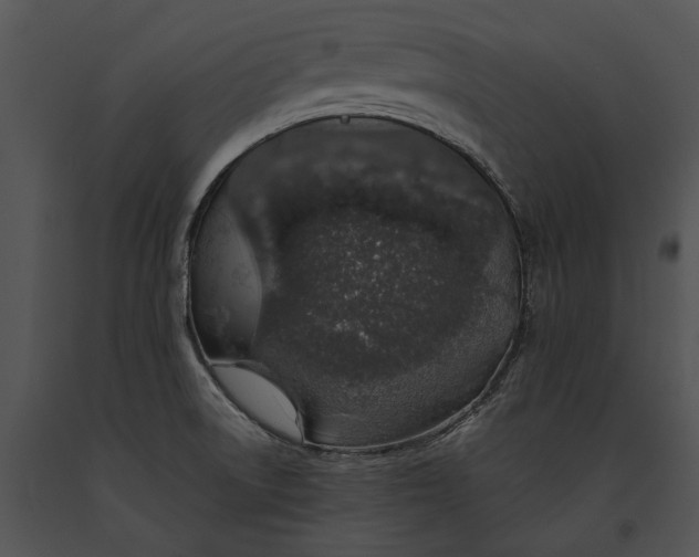 X0000091181522200708301206