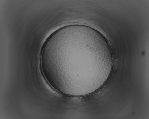 X0000091181523200708301206