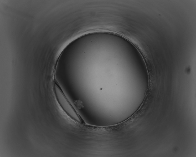 X0000091181524200708301206