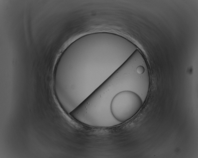 X0000091181525200708301206