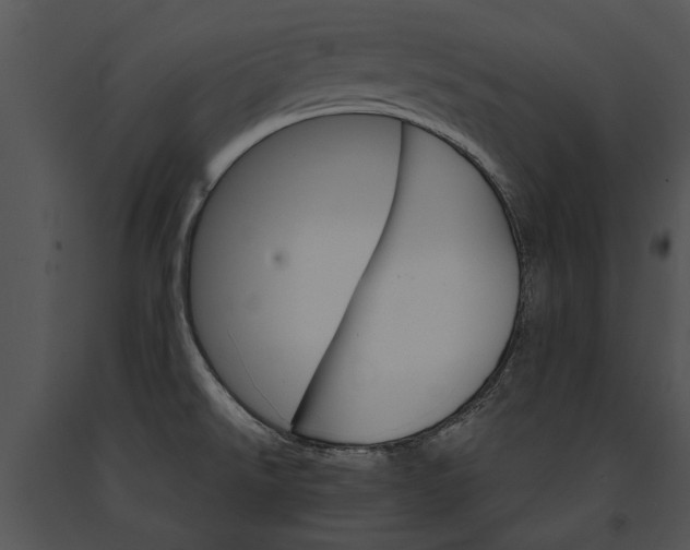 X0000091181526200708301206