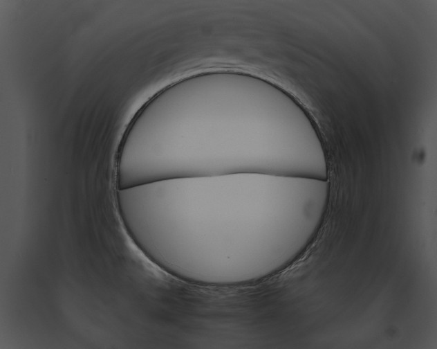 X0000091181527200708301206