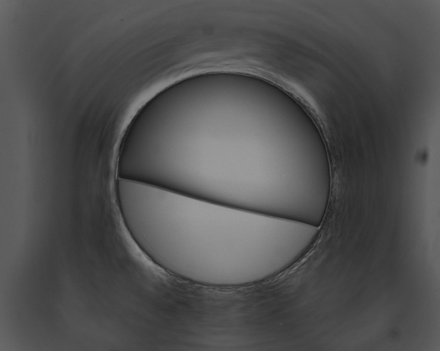 X0000091181528200708301206