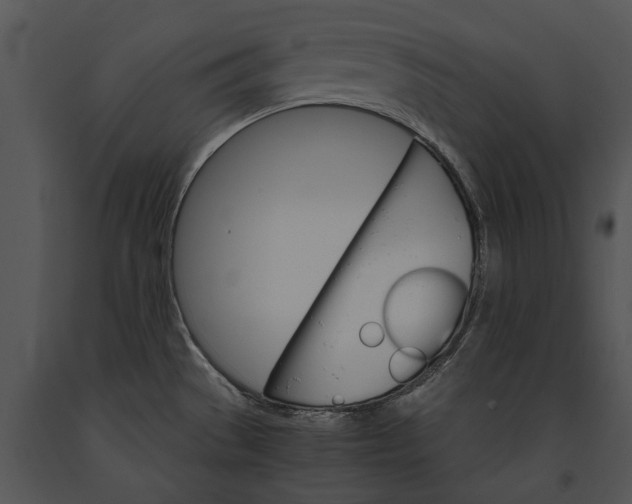 X0000091181529200708301206