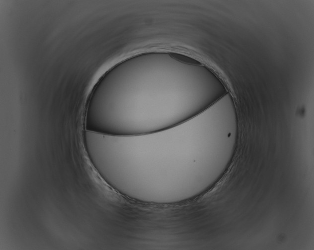 X0000091181530200708301206