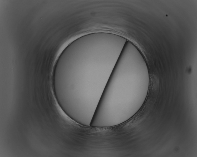 X0000091181531200708301206