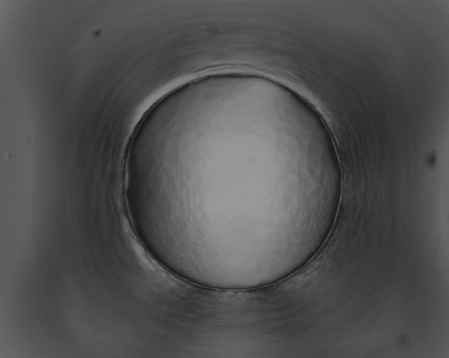 X0000091181534200708301206