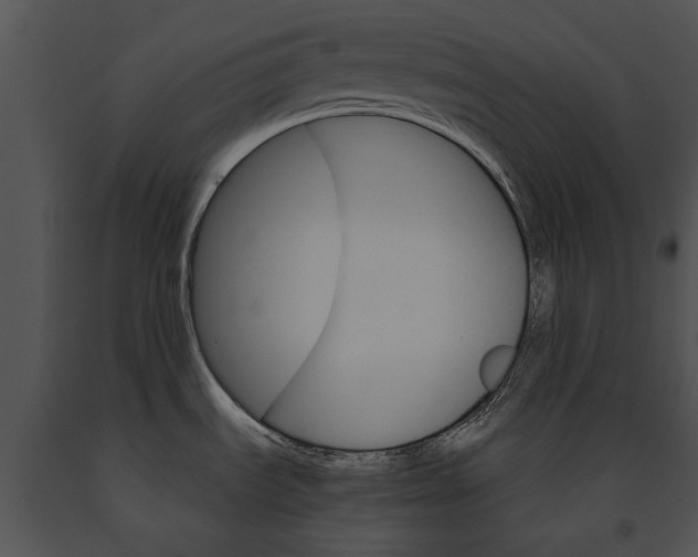 X0000091181535200708301206