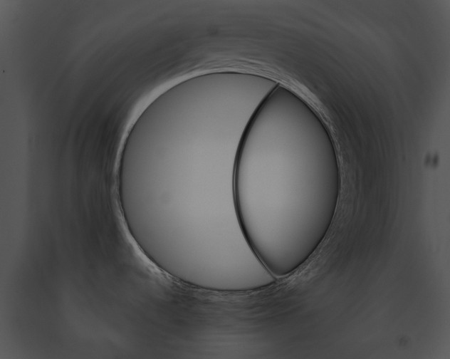 X0000091181536200708301206