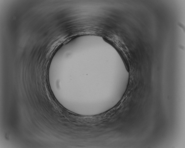 X0000091180001200709061003