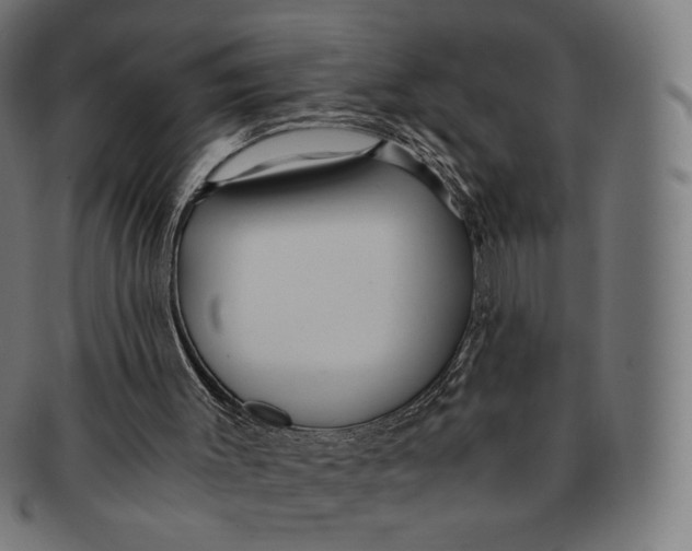 X0000091180003200709061003