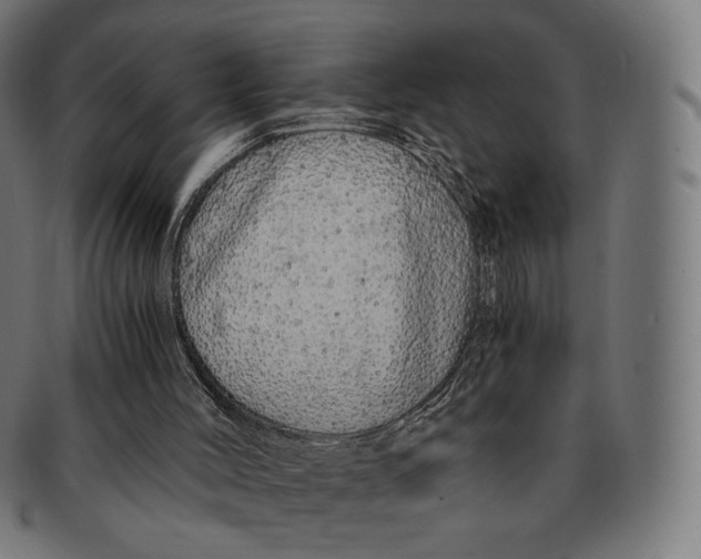 X0000091180004200709061003