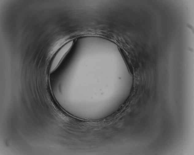 X0000091180005200709061003