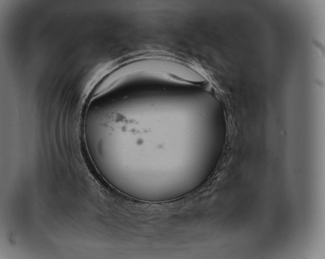 X0000091180007200709061003