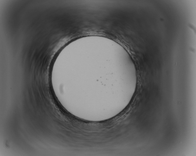 X0000091180008200709061003