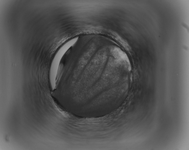 X0000091180009200709061003