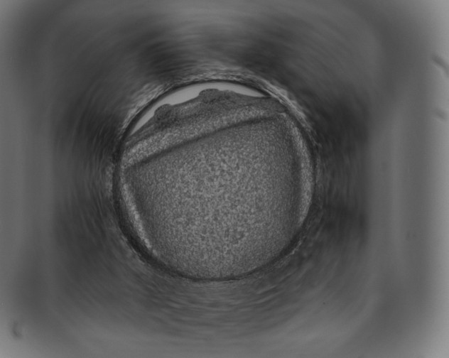 X0000091180010200709061003