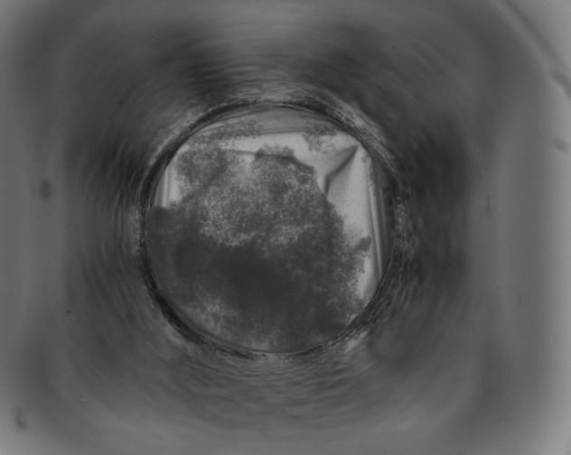 X0000091180012200709061003