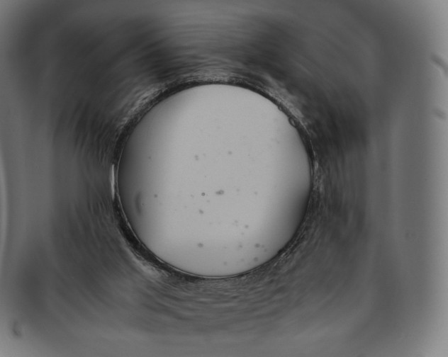 X0000091180013200709061003