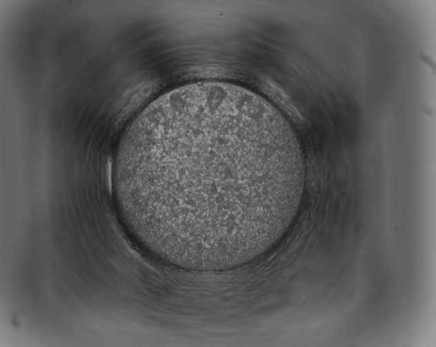 X0000091180014200709061003