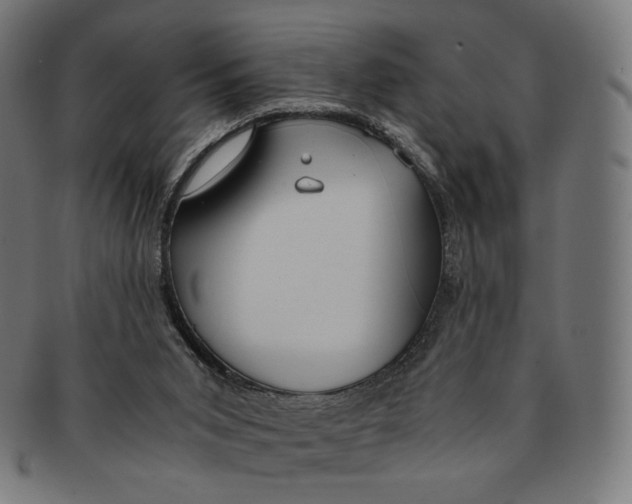 X0000091180015200709061003