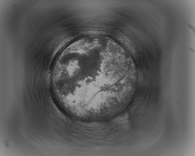 X0000091180016200709061003