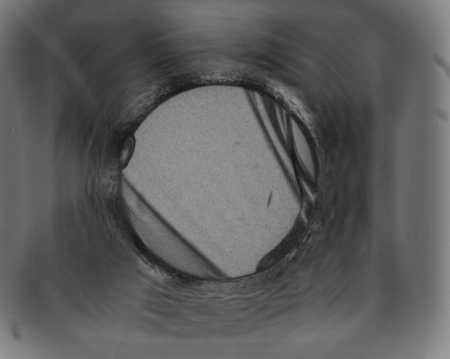 X0000091180017200709061003
