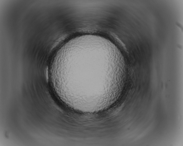 X0000091180020200709061003