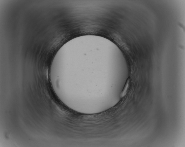 X0000091180021200709061003