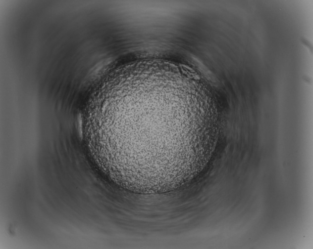 X0000091180022200709061003