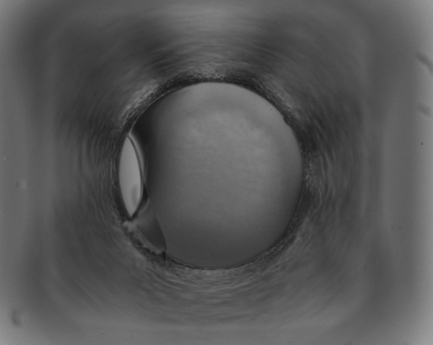 X0000091180023200709061003