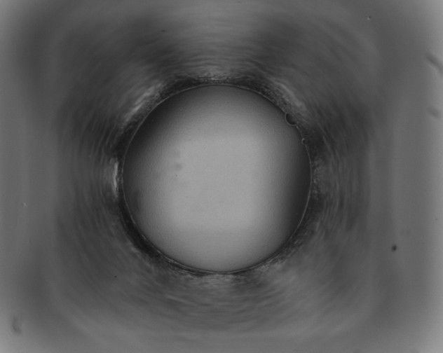 X0000091180024200709061003