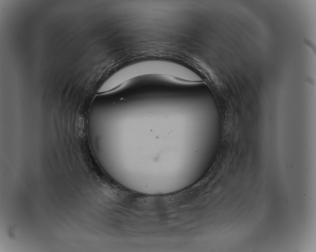 X0000091180025200709061003
