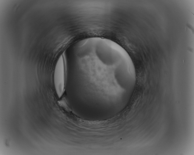 X0000091180027200709061003