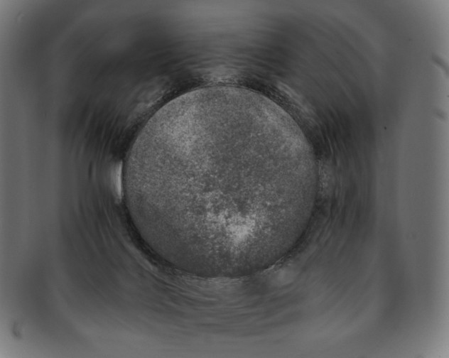 X0000091180028200709061003