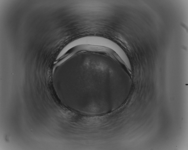 X0000091180029200709061002