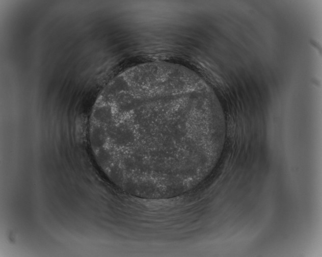 X0000091180030200709061002